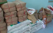 Khởi tố đối tượng sản xuất, buôn bán gần 1 tấn bột ngọt giả ở Kiên Giang