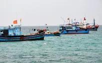 Tước giấy phép 3 tàu cá vi phạm vùng biển nước ngoài