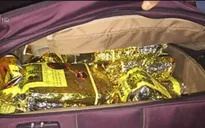 Bắt 2 đối tượng vận chuyển 288 bánh heroin