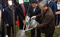 Đồng chí Trần Quốc Vượng phát động Tết trồng cây tại Bắc Ninh