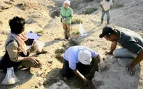 Iraq phát hiện hàng chục hiện vật cổ sau trận mưa lớn