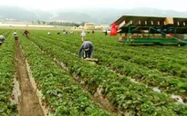Trung Quốc đẩy mạnh mua đất nông nghiệp ở nước ngoài