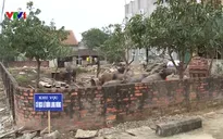 Hà Tĩnh xuất hiện dịch lở mồm long móng trên đàn trâu bò