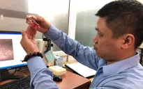 Ghép giác mạc của bé 7 tuổi cho 2 người