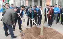 Văn phòng Quốc hội tiếp nhận và trồng cây hoa ban
