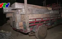 Đắk Lắk: Bắt vụ vận chuyển gỗ quy mô lớn tại M'Drắk