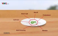 Thực hư công dụng mật cá trắm