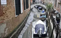Venice cạn nước vì siêu trăng