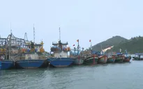 Tàu vỏ thép của Bình Định sẵn sàng vươn khơi trở lại