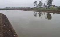 Đồng Tháp: 3 chị em ruột đuối nước tử vong thương tâm