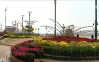 Đà Nẵng trang trí các tuyến phố đón Tết Nguyên đán