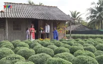 Phim Tết Con hảo hán, tía không ngán: Trân trọng tình làng nghĩa xóm, sự gắn kết gia đình