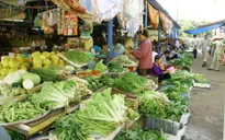 Phòng bệnh truyền qua thực phẩm do ký sinh trùng trong mùa hè