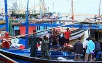 Ngư dân Phú Yên trúng đậm cá ngừ đại dương