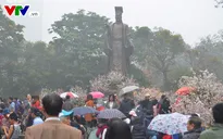 Lễ hội hoa anh đào tại Hà Nội diễn ra từ ngày 23 - 26/3