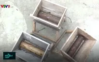 Lão nông sáng tạo máy xay chuối cây với giá chưa tới 300.000 đồng