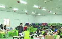 Dịch vụ giao hàng bận rộn ngày cận Tết