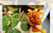 Nấm linh chi biến thành cây cảnh độc đáo trưng bày dịp Tết