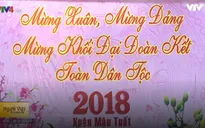Cảm xúc của kiều bào tham dự Xuân Quê hương 2018