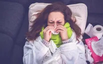 Thú vị ngày Cáo ốm Quốc gia ở Anh
