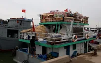 Đảm bảo đưa toàn bộ người dân đảo Lý Sơn về quê đón Tết
