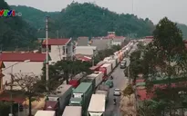 Ùn ứ nông sản tại Lạng Sơn: Nhiều hoa quả bị thối do thời gian chờ đợi quá lâu