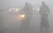 Sương mù làm tê liệt giao thông tại New Dehli, Ấn Độ