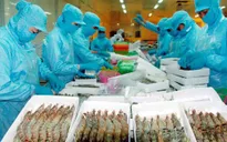 Phấn đấu đến 2025 xuất khẩu tôm đạt 10 tỷ USD