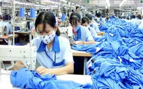 Nhiều mặt hàng xuất khẩu chủ lực phải vượt khó