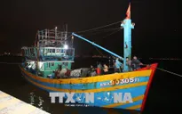 Đà Nẵng: Cứu nạn và lai dắt thành công tàu cá cùng 11 ngư dân gặp nạn về bờ an toàn