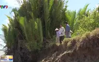 Nạo vét luồng tàu gây sạt lở nghiêm trọng