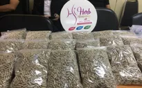 Thái Lan thu giữ thuốc chứa Sibutramine