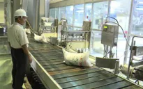 Phú Yên tồn đọng hơn 70.000 tấn đường