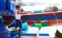 Thiếu lao động đi biển, nhiều tàu cá Quảng Ngãi "nằm bờ"