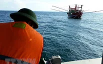Lai dắt an toàn tàu cá cùng 4 ngư dân gặp nạn trên biển Bình Định