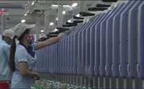 Nâng cao giá trị xuất khẩu trong CPTPP