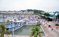 Tàu du lịch bị chìm tại Cảng Tuần Châu