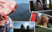 VTV Đặc biệt - Miền đất hứa: Ám ảnh từ những hình ảnh giới thiệu