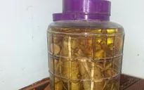 Cảnh báo ngộ độc do uống rượu ngâm không rõ nguồn gốc