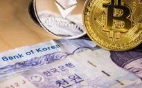 Hàn Quốc có thể sẽ dỡ bỏ lệnh cấm huy động vốn bằng tiền ảo vào cuối tháng 3