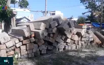 Thu giữ gần 450 khúc gỗ xẻ giấu dưới hồ thủy điện ở Khánh Hòa