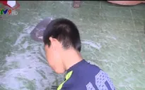 Giải cứu bé trai khuyết tật bị ngược đãi tại Vĩnh Long