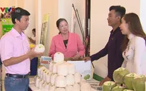 Bến Tre công bố chỉ dẫn địa lý dừa uống nước xiêm xanh và bưởi da xanh