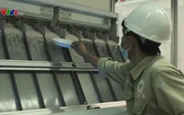 Gạo ST24 đạt chứng nhận chuẩn hữu cơ quốc tế