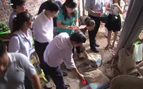 Bộ Y tế thành lập 8 đoàn kiểm tra, giám sát phòng chống bệnh sốt xuất huyết