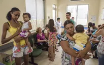 Dịch sốt vàng da bùng phát mạnh trở lại tại Brazil