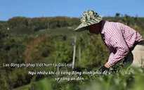 VTV Đặc biệt - Miền đất hứa: Khán giả đẫm nước mắt trước phận làm chui của lao động bất hợp pháp Việt ở xứ Đài