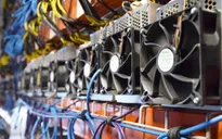 Sớm trình Chính phủ đề xuất chính thức cấm nhập khẩu máy đào tiền ảo