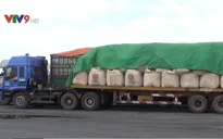 Bắt giữ 5 xe đầu kéo vận chuyển 500 tấn chất thải nguy hại
