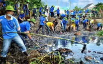 Tuổi trẻ TP.HCM chung tay bảo vệ môi trường và chỉnh trang đô thị